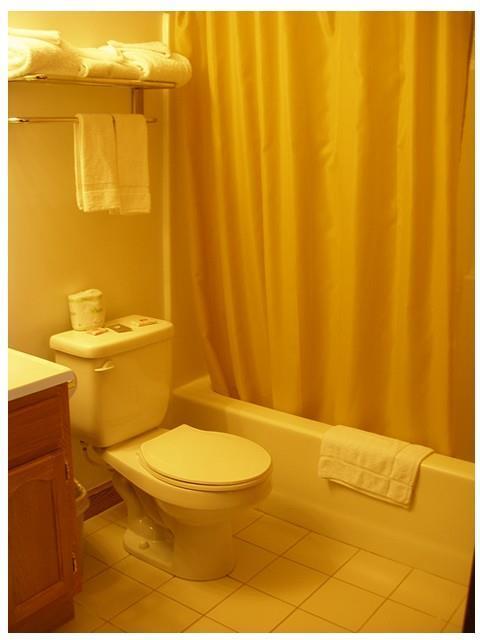 Red Carpet Inn Wind Gap Room photo